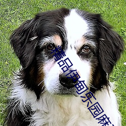 精品(pǐn)伊甸乐(lè)园麻豆