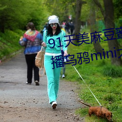 91天美麻豆蜜桃糖心星空精东乐播乌鸦mini大象兔子久久