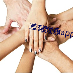 草莓频蕉app破(pò)解版下载