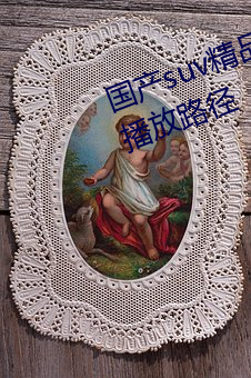 国产suv精(jīng)品一区(qū)二区88开创新(xīn)的(de)播放路径