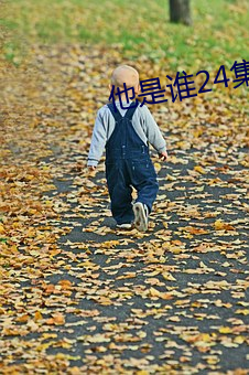 他是誰24集在線觀看免費完