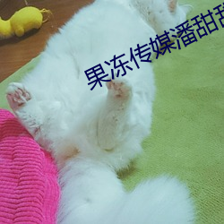 果冻传媒潘甜(tián)甜