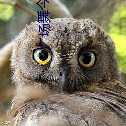 广场舞今生相爱正背面分解