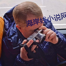 海岸线小说网(wǎng)