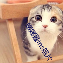 媛媛酱ins照片 （雪天萤席）