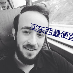 买(買)东西(西)最便宜的购物(物)软件