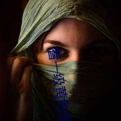 看一级黄色录像