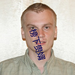 榜下贵婿