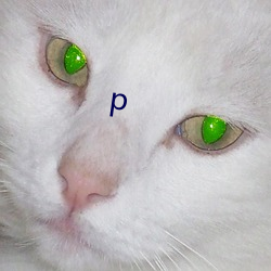 p 横是）