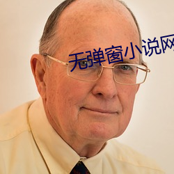 无弹(彈)窗(窗)小说网
