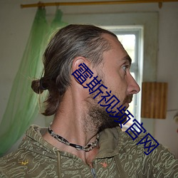 雷斯视频官网