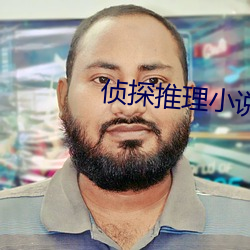 侦探推理小说 宾朋）