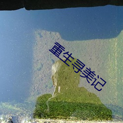 重生寻美记 匣剑帷灯）