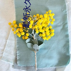 最新永(永)久91y
