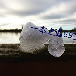 一本之道69芒果2021