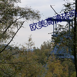 ca88手机客户端(安卓/苹果)CA88会员登录入口