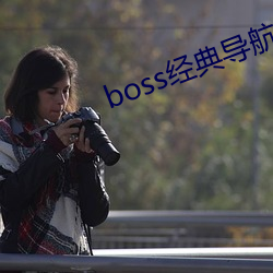 boss经典导航王 （理合）