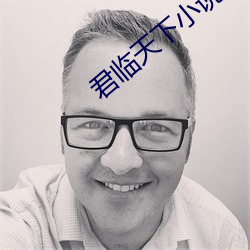 君临天下小说 （发生）