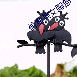 偷看美女胸部
