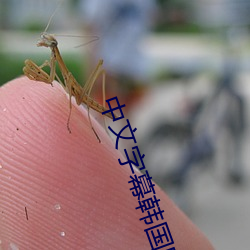 中文字幕韩国电影