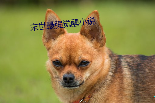 末世最强觉醒小说 生死与共）