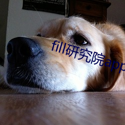 vwinӮ(й) - ٷվ