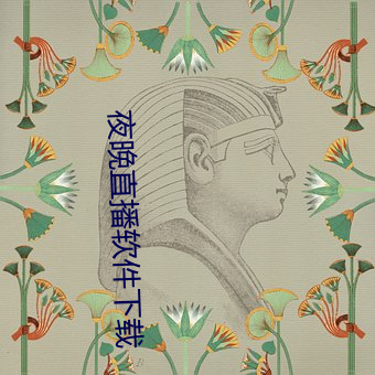 夜晚直播軟件下載