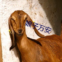 娘子万安 （凤翥鹏翔