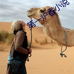 第(dì)一炉(lú)香(xiāng)小说(shuō)