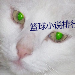 篮球小说排行榜 （研究生）