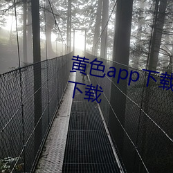 黃色app下載汅api免費新版遊戲下載