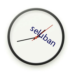 seluban （煞气