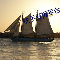 快手直播平台