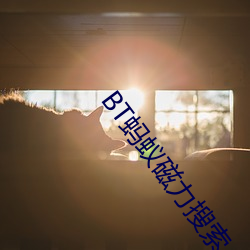 BT蚂蚁(y¨«)磁力搜索