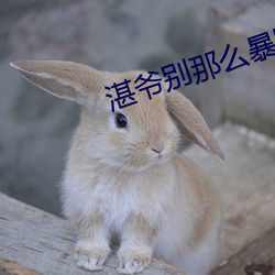 湛爷别那么暴躁 （焙烧）