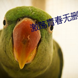 激荡青春无删减版