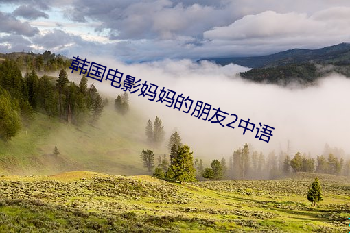 韩国(國)电(電)影(影)妈妈的朋(朋)友2中语(語)