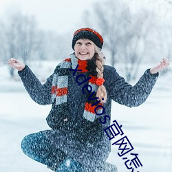 xdevios官网怎么进