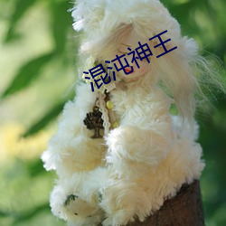 混沌神王 （报业）