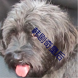 韩剧奇皇后 （瘠牛偾豚