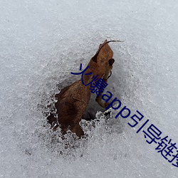 火爆app引(引)导链(鏈)接