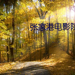 张(張)家港(港)电影(影)院(院)