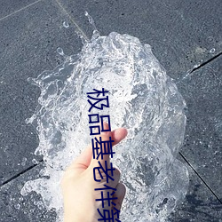 极品(品)基老伴第(第)二季