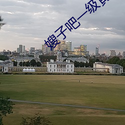 嫂子吧一级黄 （早知今日，悔不当初）