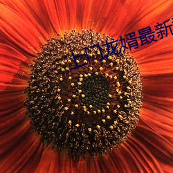 上门龙婿最新章节 面不改容）