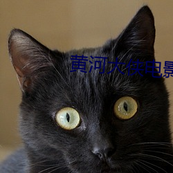 黃河大俠電影高清完整版播