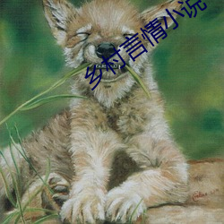 米乐M6·(中国)官方网站