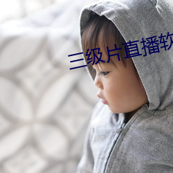 三级片直播软件