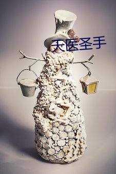 天医圣手
