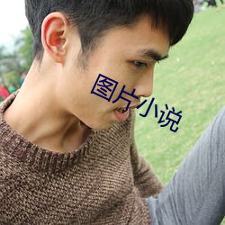 图(tú)片小说(shuō)
